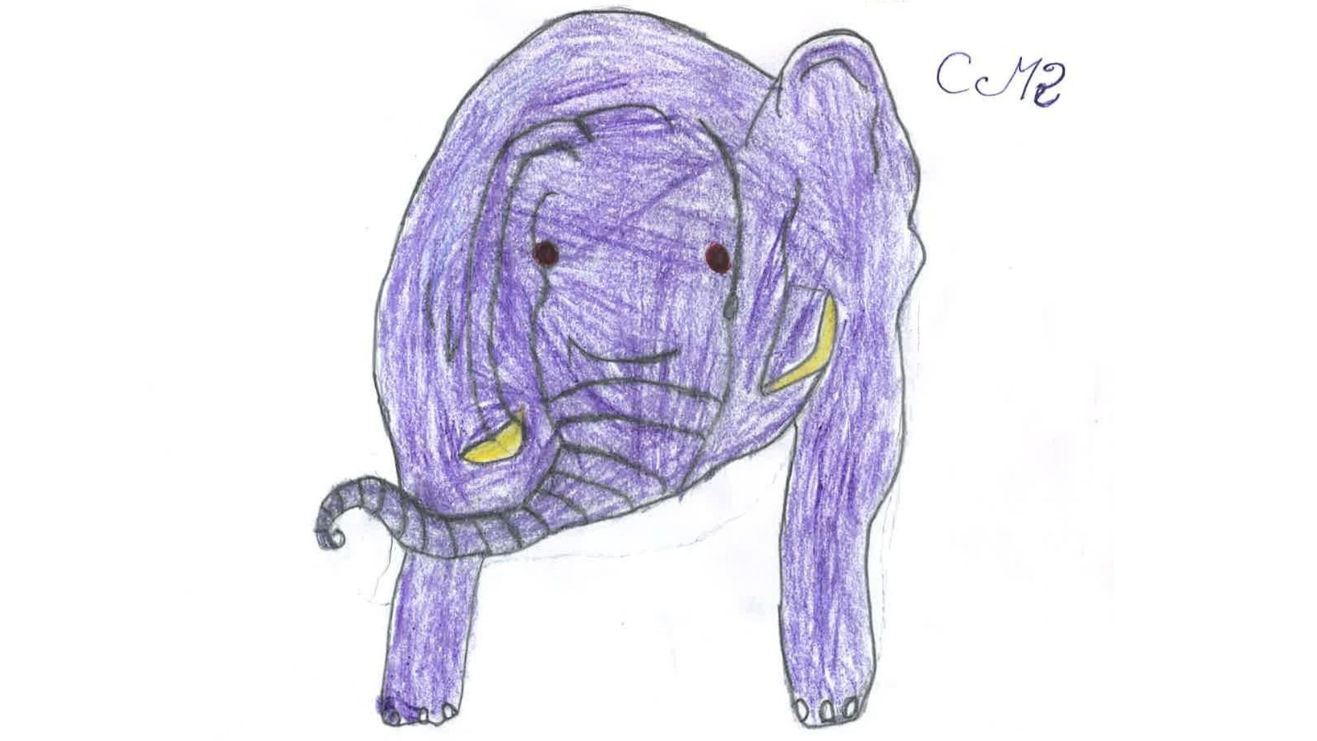 drawing