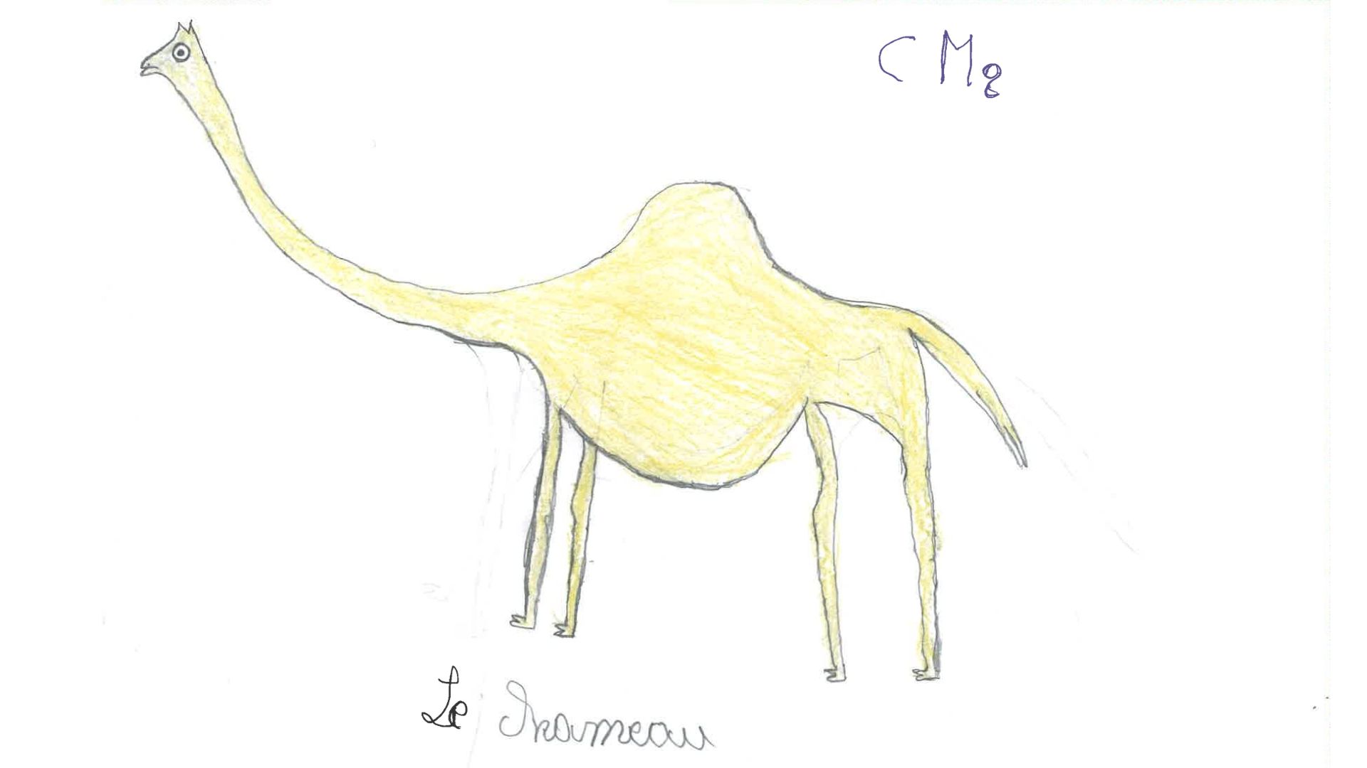 drawing