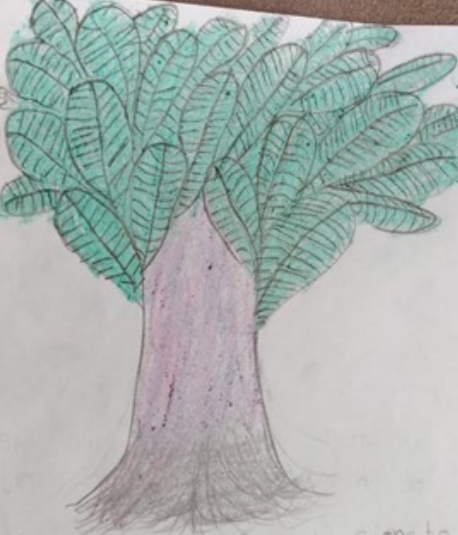 Ivy drawing Ivy drawing